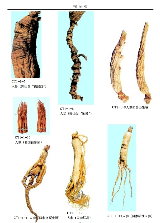 最新中草药真伪鉴别实用大全 合集4卷插图