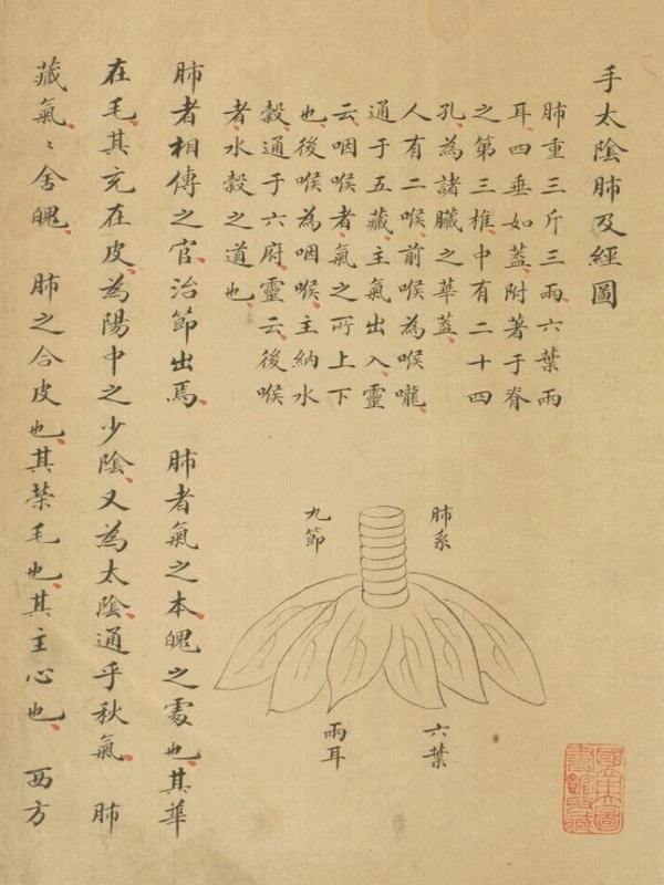 十四经穴歌插图