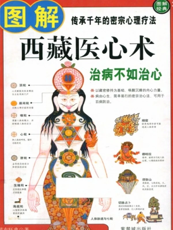 图解西藏医心术