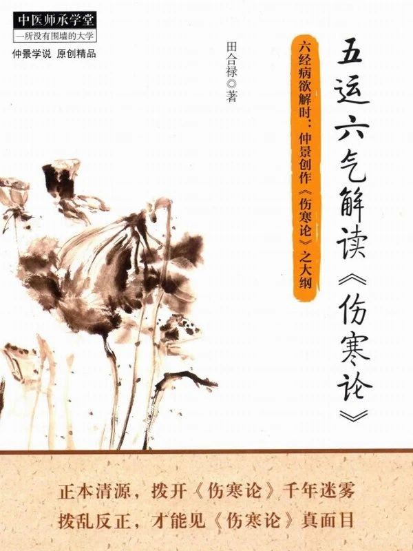 五运六气解读《伤寒论》插图