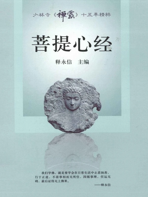 释永信合集 14本