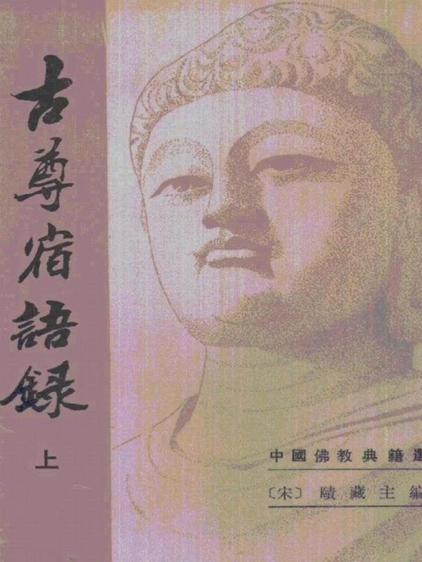 中国佛教典籍选刊 全12本插图