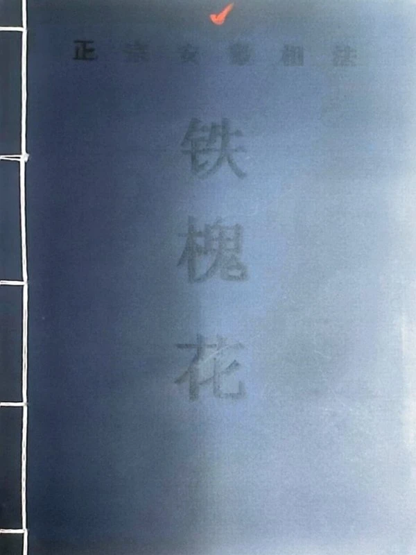 安徽相法《铁槐花》上下插图