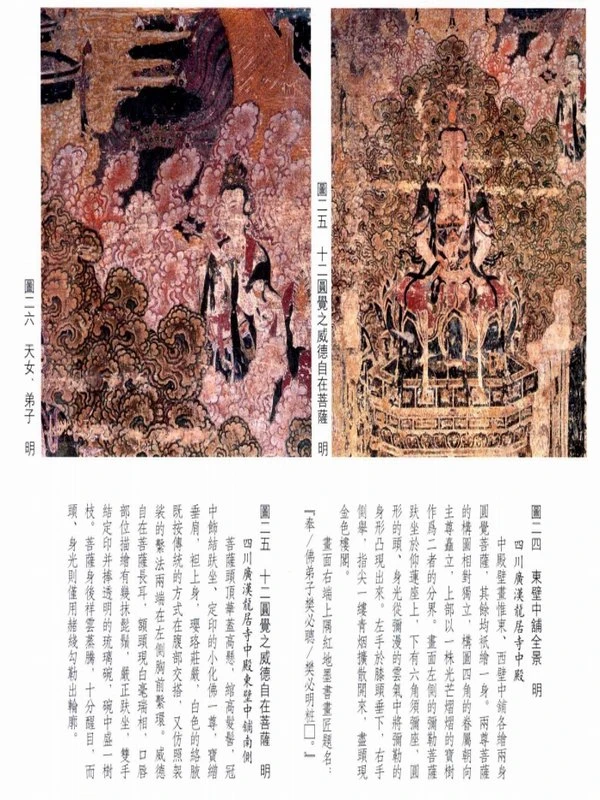 中国寺观壁画全集：明清寺院圆觉、诸天图插图