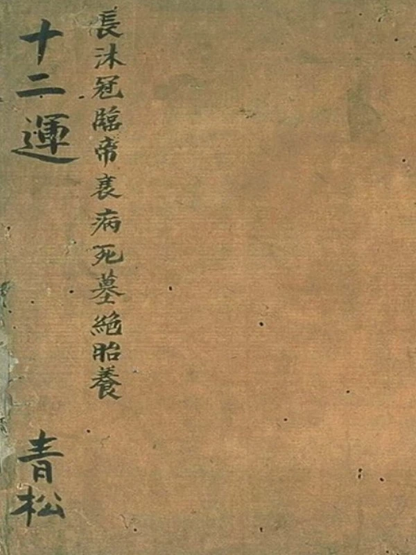佚名 – 十二运[手抄古书]插图
