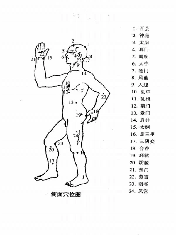中医推拿按摩合集120本插图