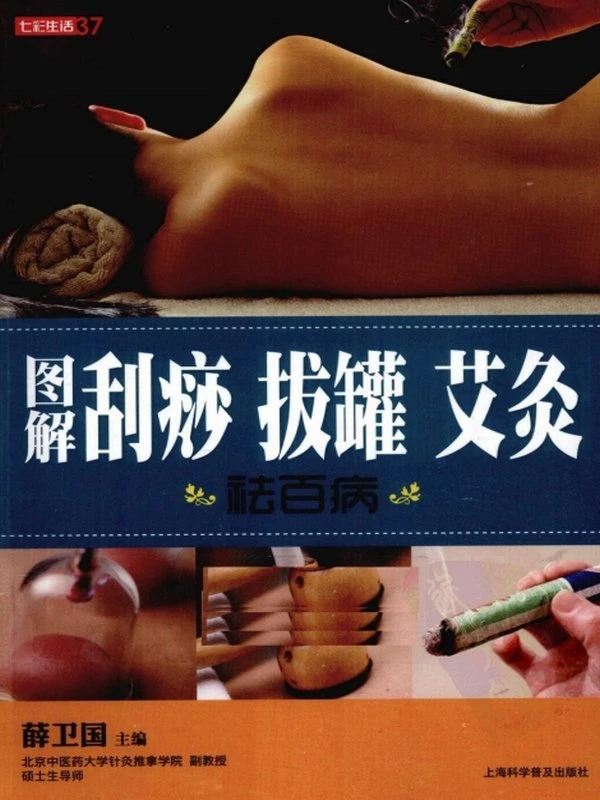 中医外治（艾灸疗法）合集60本插图