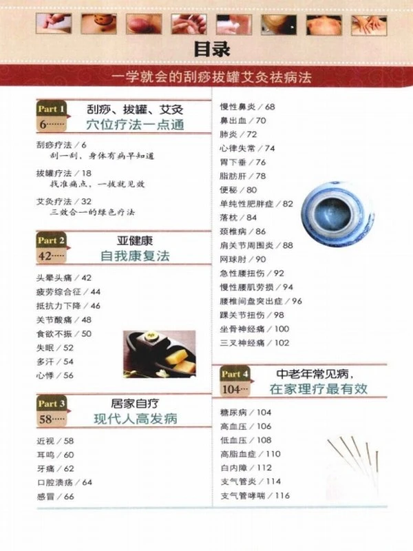 中医外治（艾灸疗法）合集60本插图