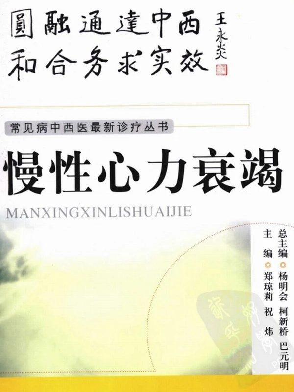 常见病中西医最新诊疗丛书（共25册）