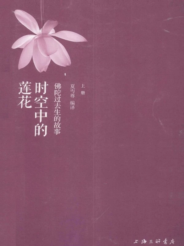 时空中的莲花 上下两本插图