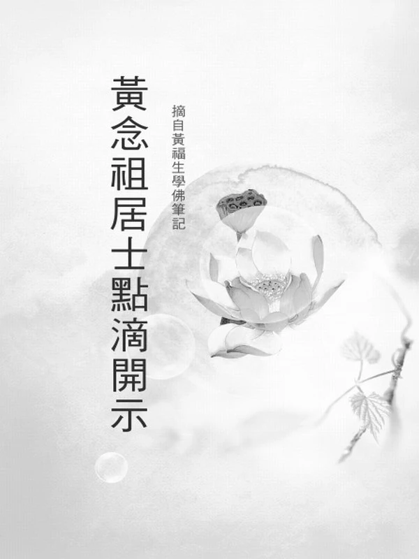 黄念祖合集16本插图