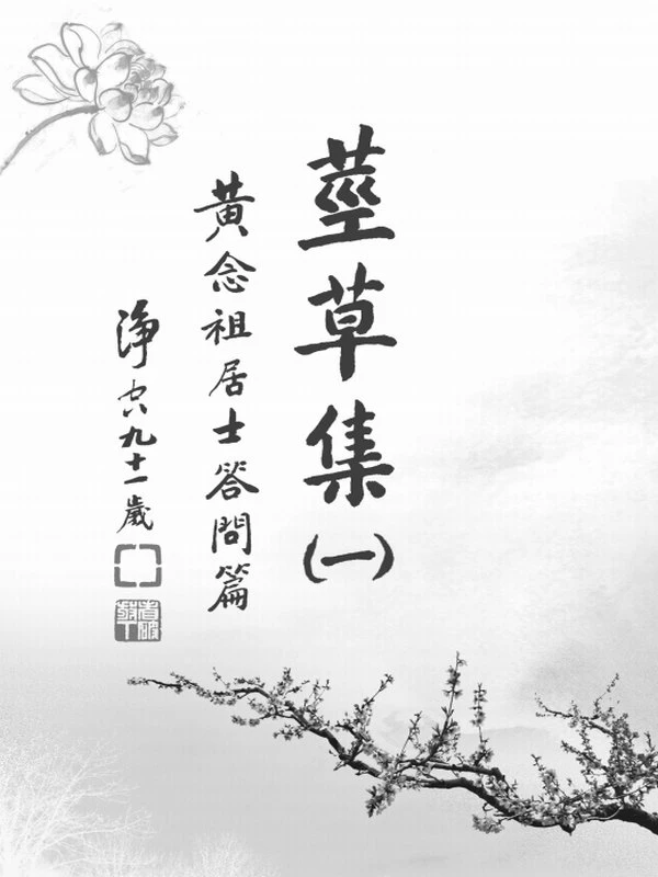 黄念祖合集16本插图