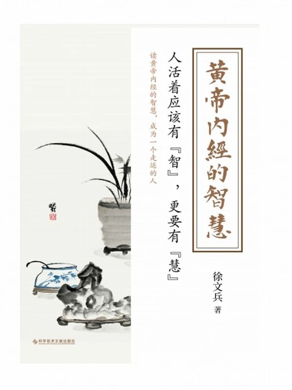 徐文兵：黄帝内经的智慧+明哲保身+中医的常识（全3册）插图