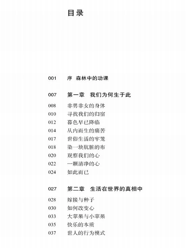 阿姜查禅修文集合集20本插图