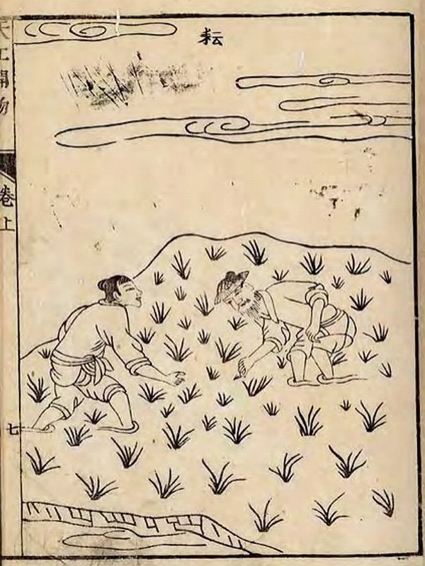 古典木工资料合集120本插图