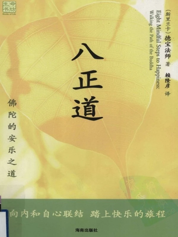 清净智论 马哈希尊者合集11本插图