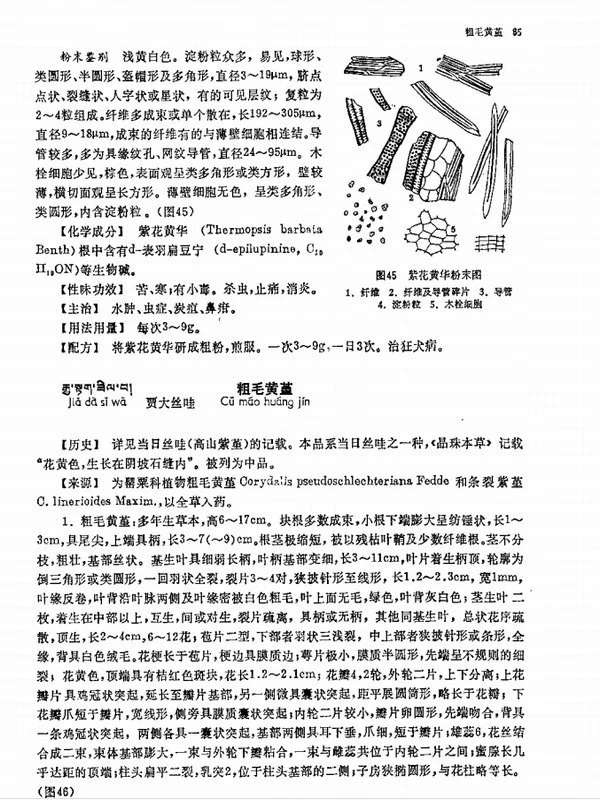中国藏药（全3卷）插图