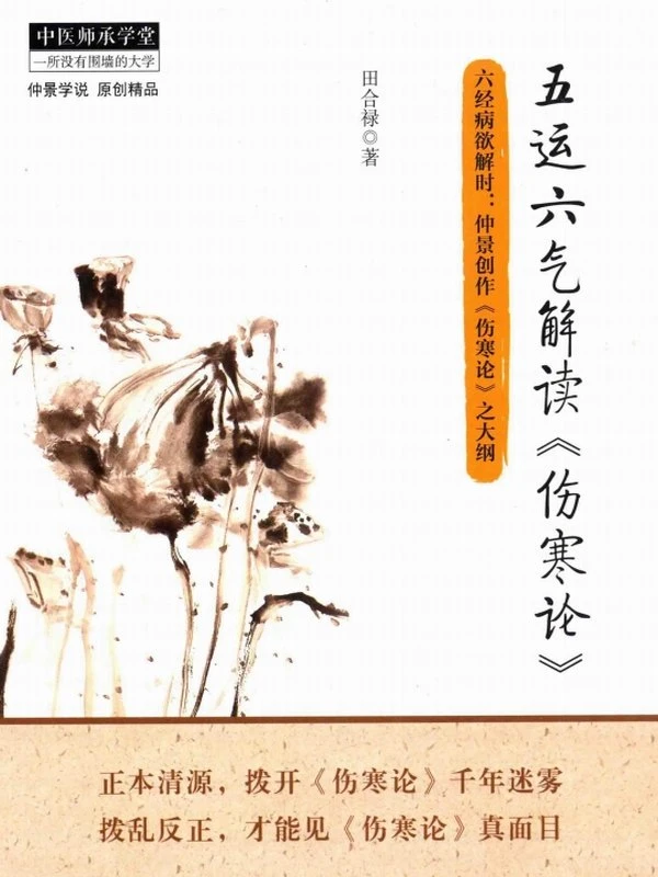 中医五运六气合集21本插图