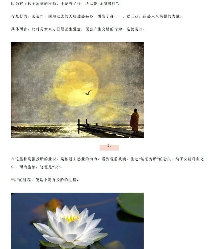 十二因缘合集 5本插图