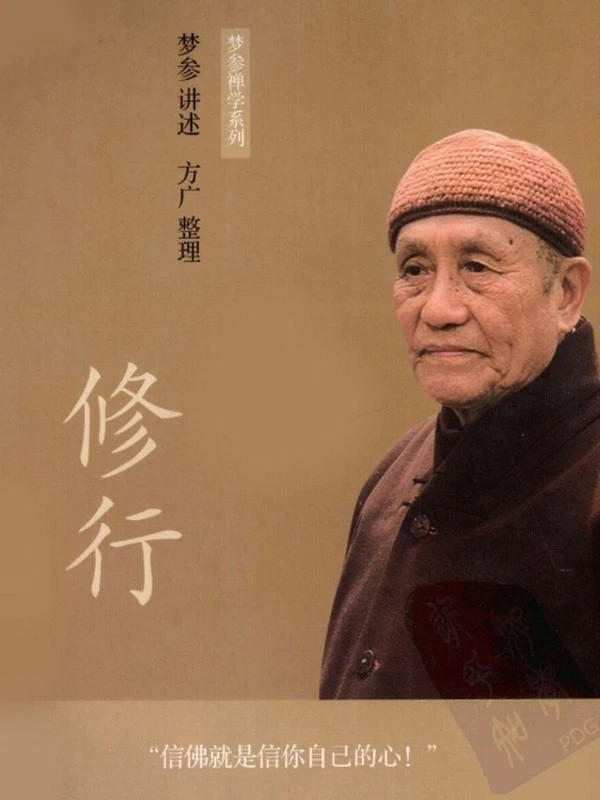 梦参老和尚讲记 合集19本插图