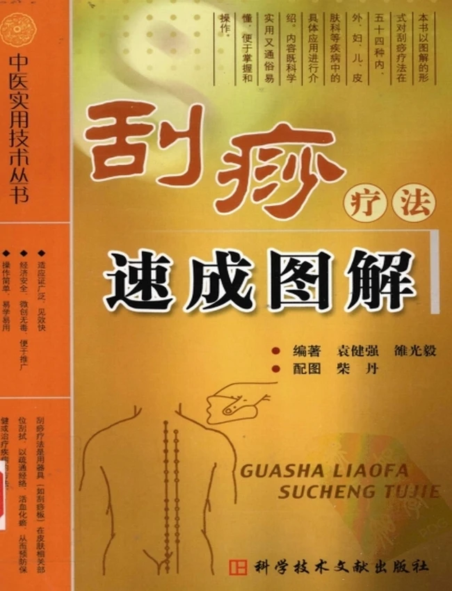 中医实用技术丛书（10册）