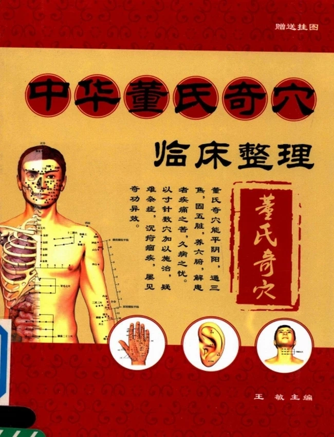 中华董氏奇穴临床整理