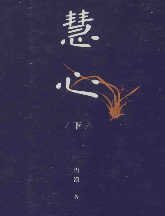 慧心  上下 智慧人生  雪漠著