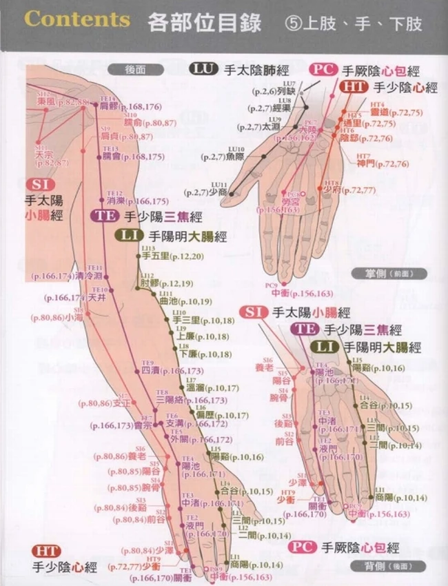 经穴大全+超科学+3D经穴解剖全书插图