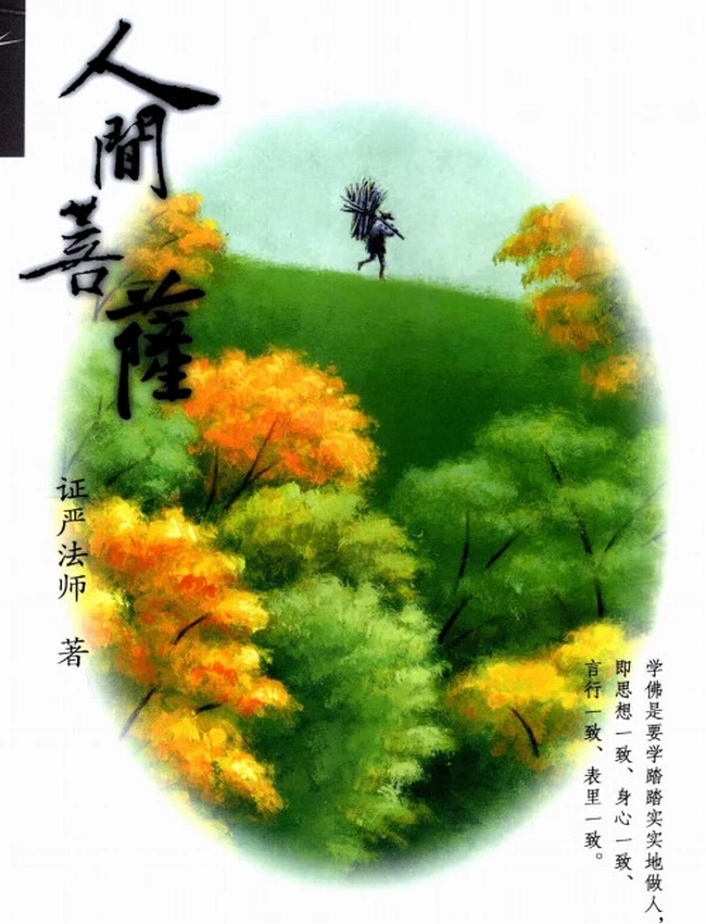 证严法师 合集50本插图
