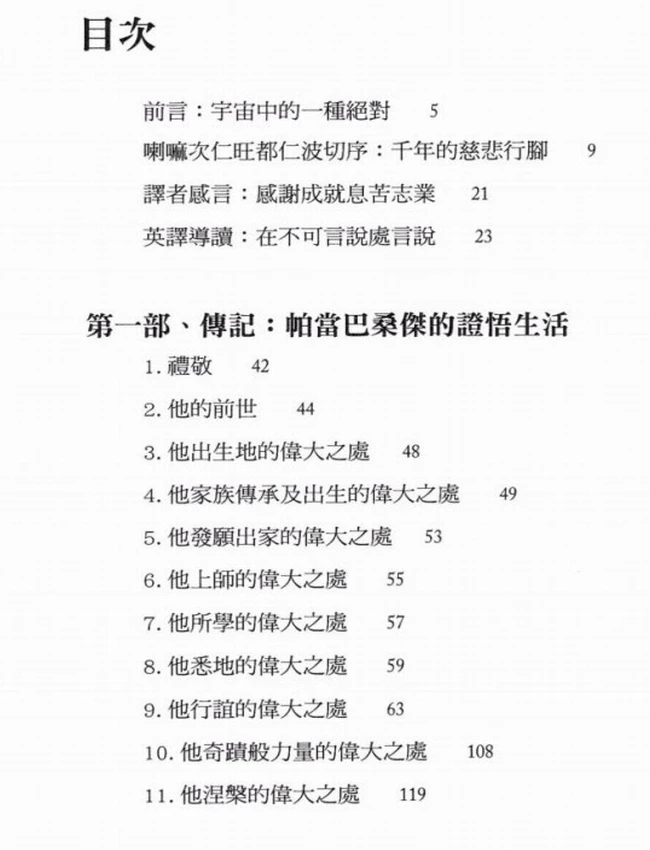 雪域达摩插图