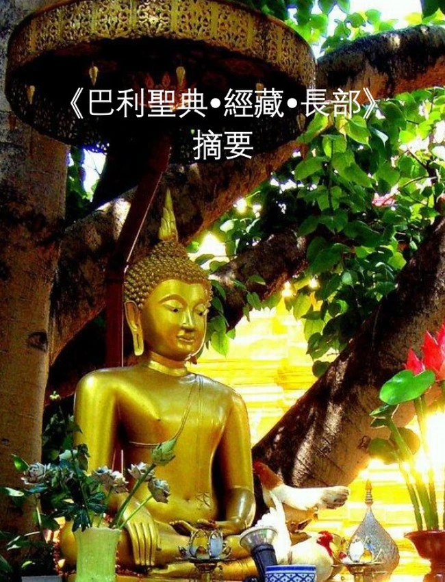 正智居士 合集5本插图