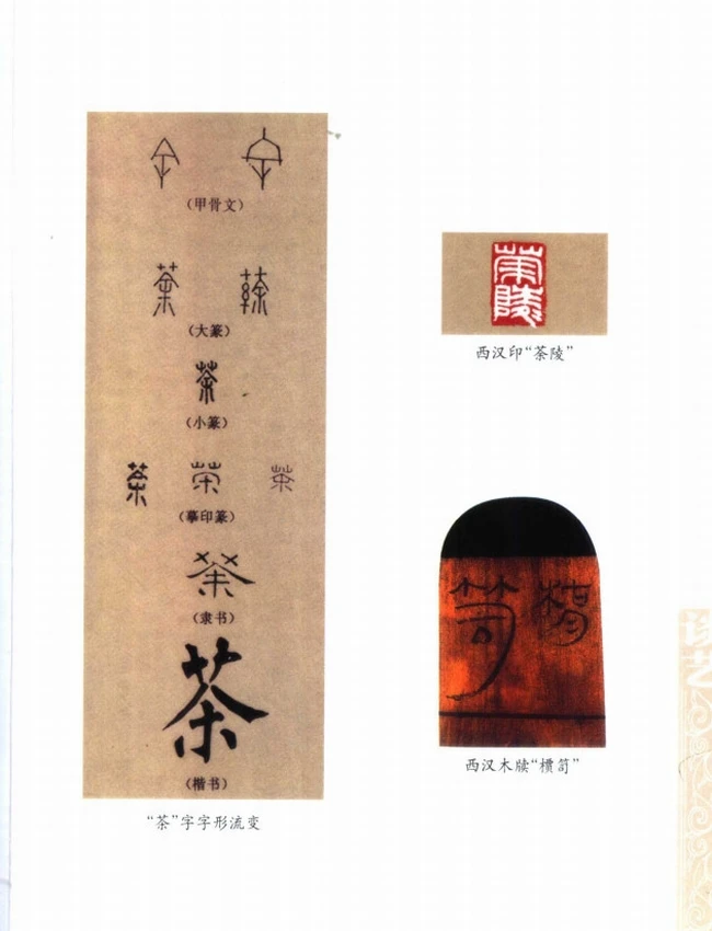 中国茶文化系列丛书 合集6本插图