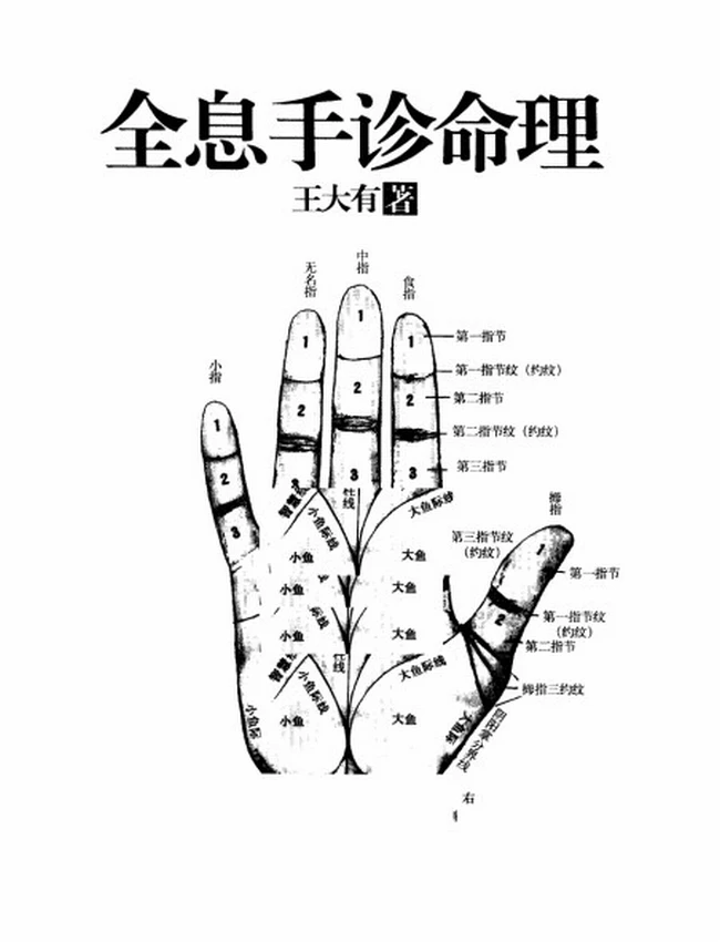 全息手诊命理