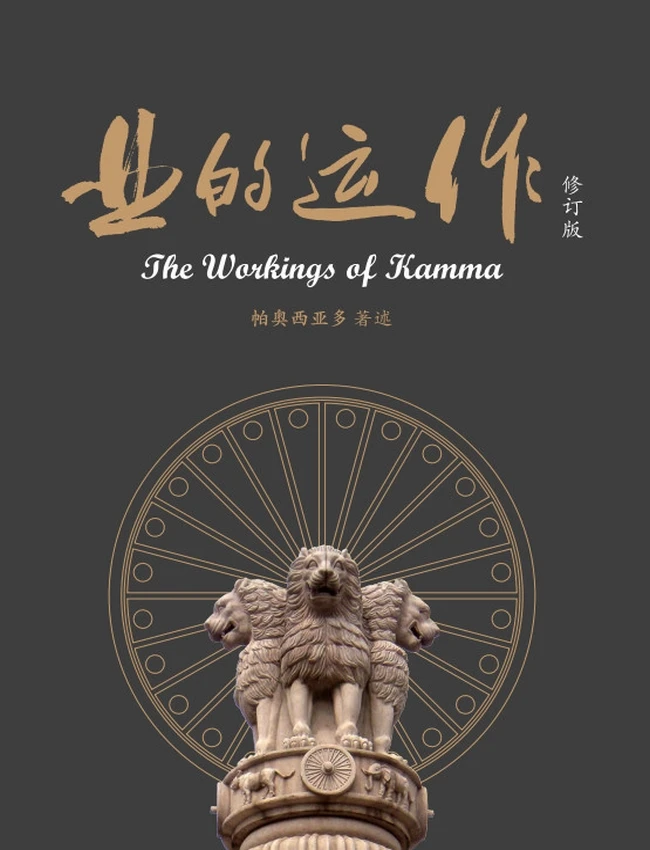 业的运作 帕奥西亚多插图